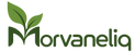 Morvaneliq - Inicio